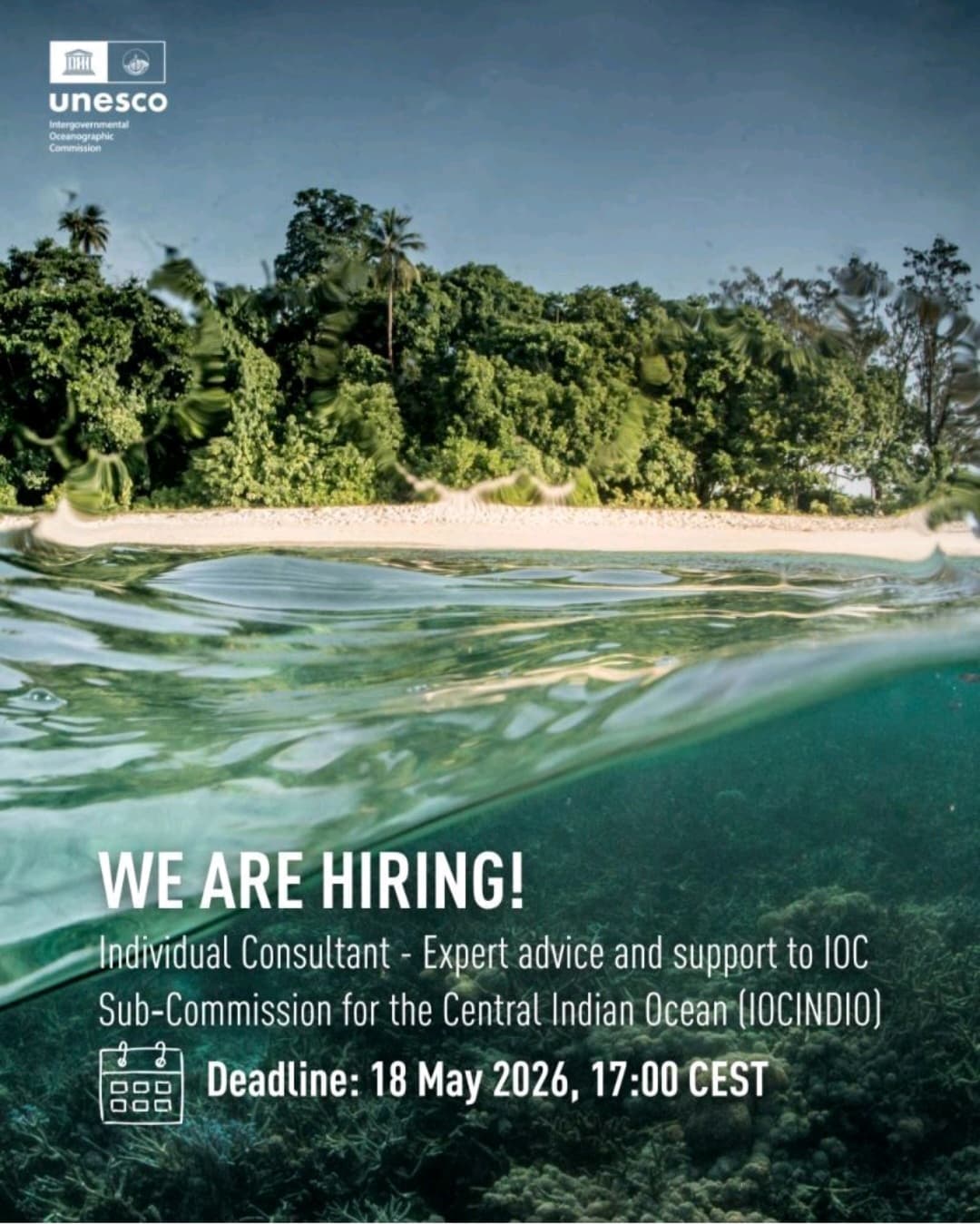 Join UNESCO IOC And Contribute To Protecting Our Shared Ocean As An International Individual Consultant