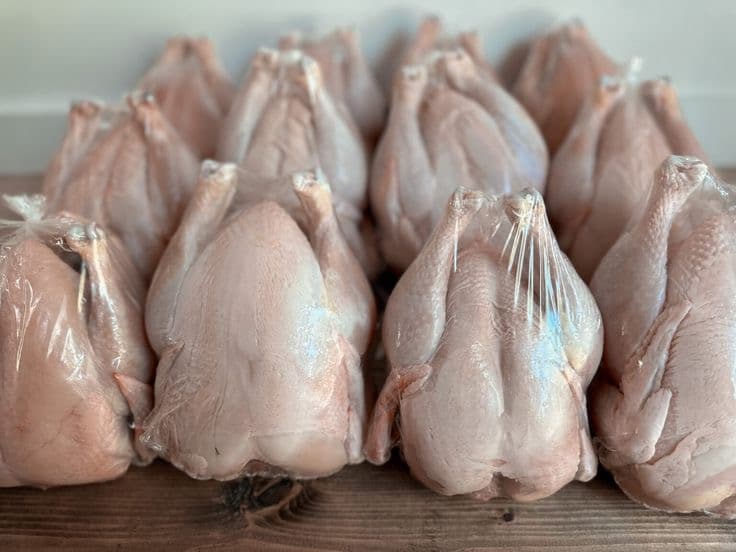 Chicken
